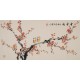 Plum - CNAG003643