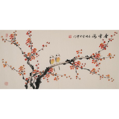 Plum - CNAG003643