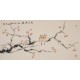 Other Birds - CNAG003644