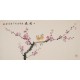 Plum - CNAG003645