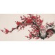 Plum - CNAG003647