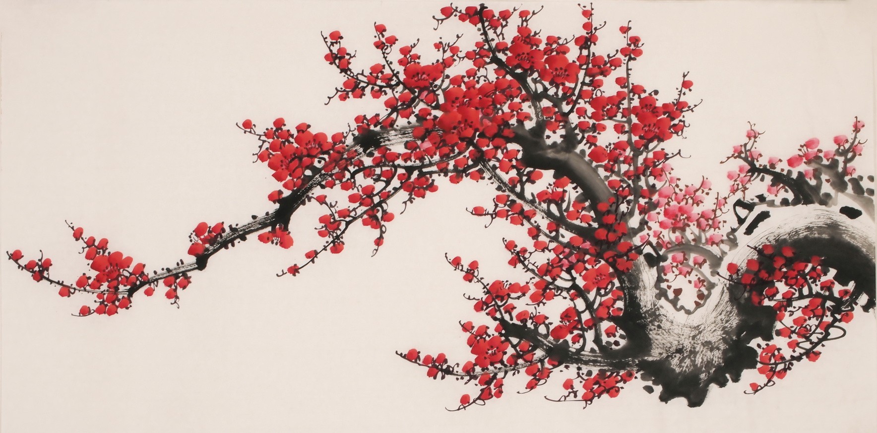 Plum - CNAG003647
