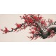 Plum - CNAG003648