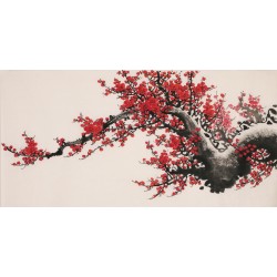 Plum - CNAG003648