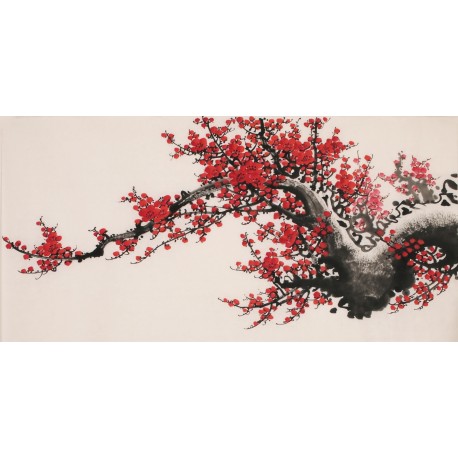 Plum - CNAG003648