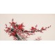 Plum - CNAG003649