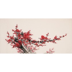 Plum - CNAG003649