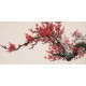 Plum - CNAG003650