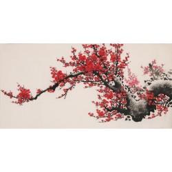 Plum - CNAG003650