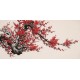 Plum - CNAG003652