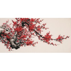 Plum - CNAG003652