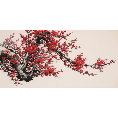 Plum - CNAG003652