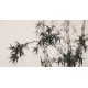 Ink Bamboo - CNAG003654