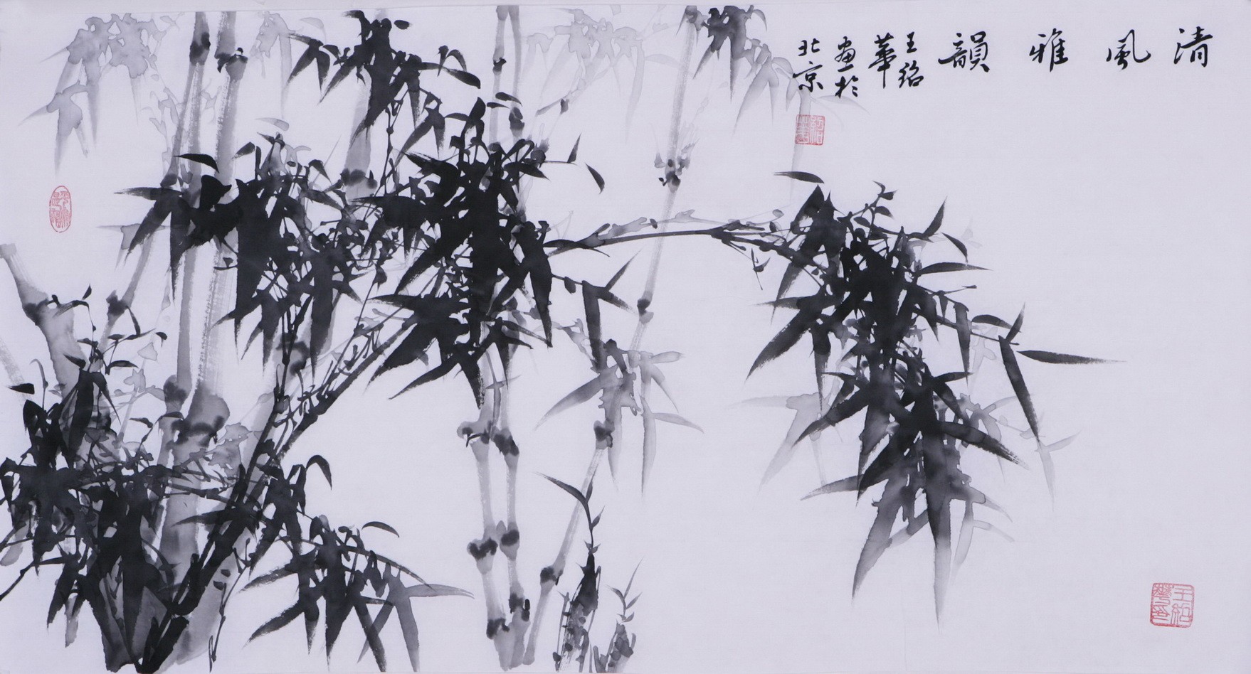 Ink Bamboo - CNAG003658