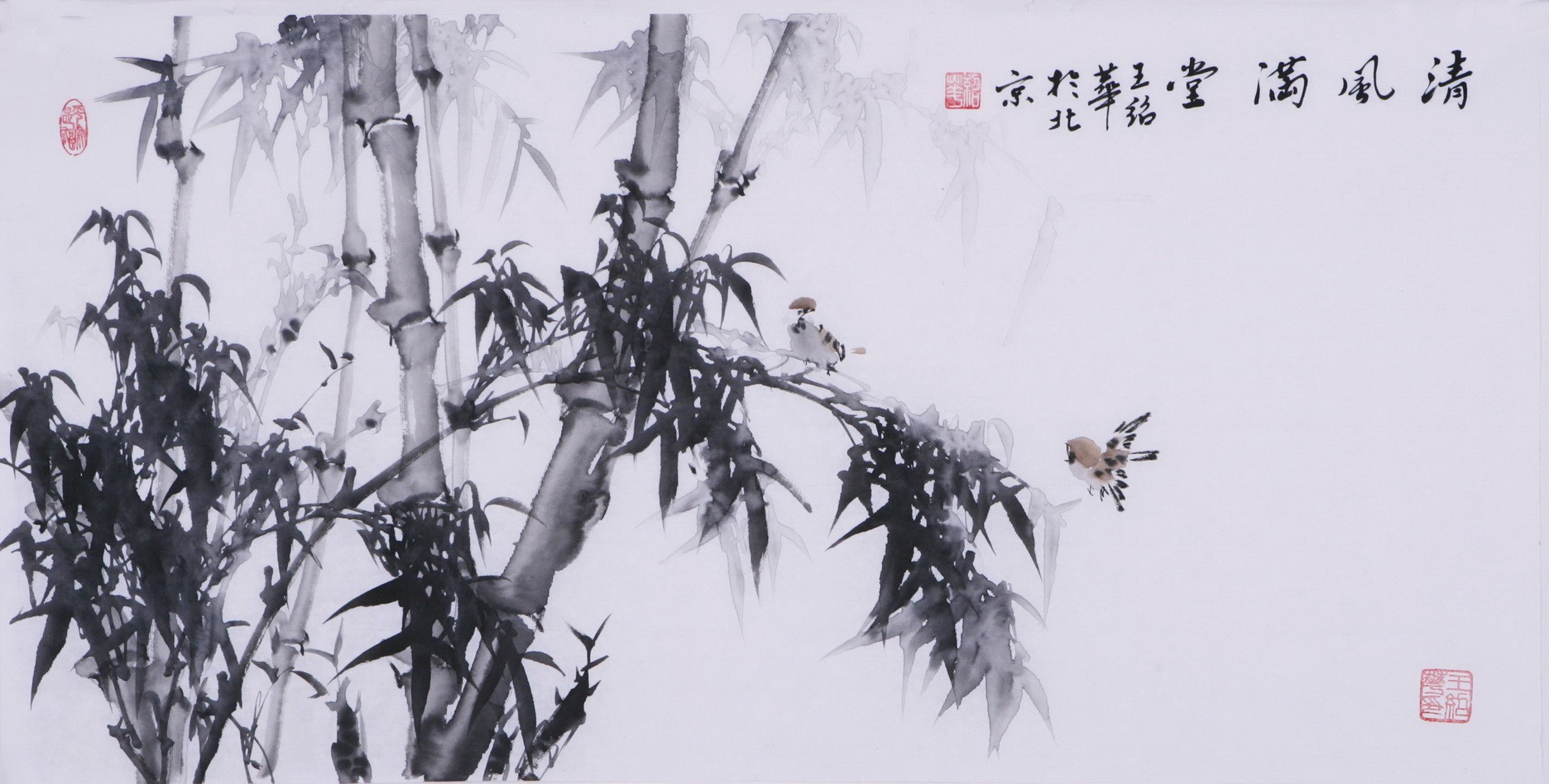 Ink Bamboo - CNAG003661