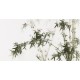 Ink Bamboo - CNAG003671