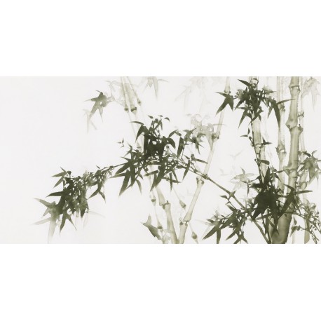 Ink Bamboo - CNAG003671