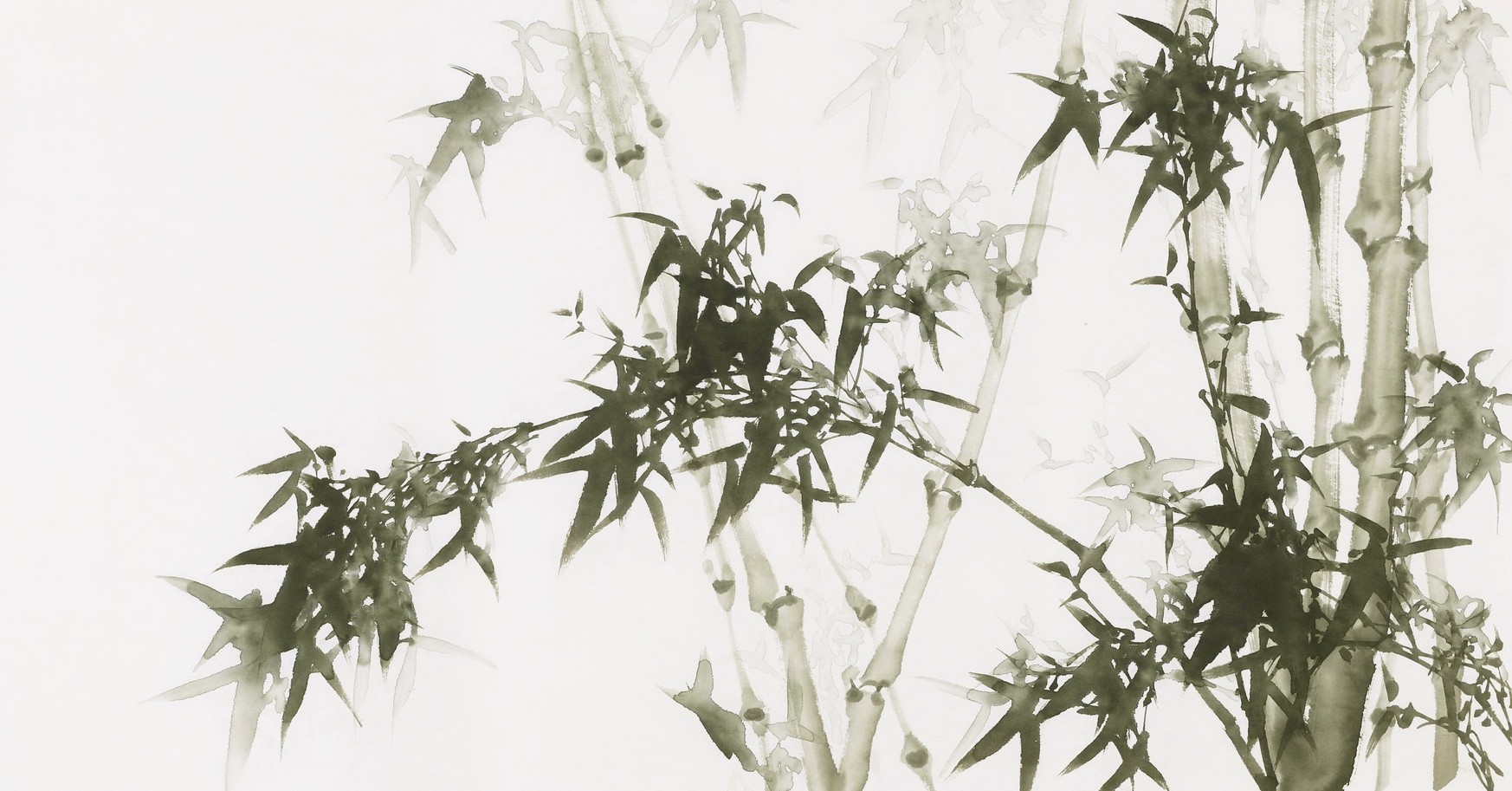 Ink Bamboo - CNAG003671