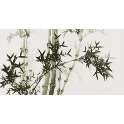 Ink Bamboo - CNAG003674