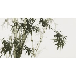Ink Bamboo - CNAG003675