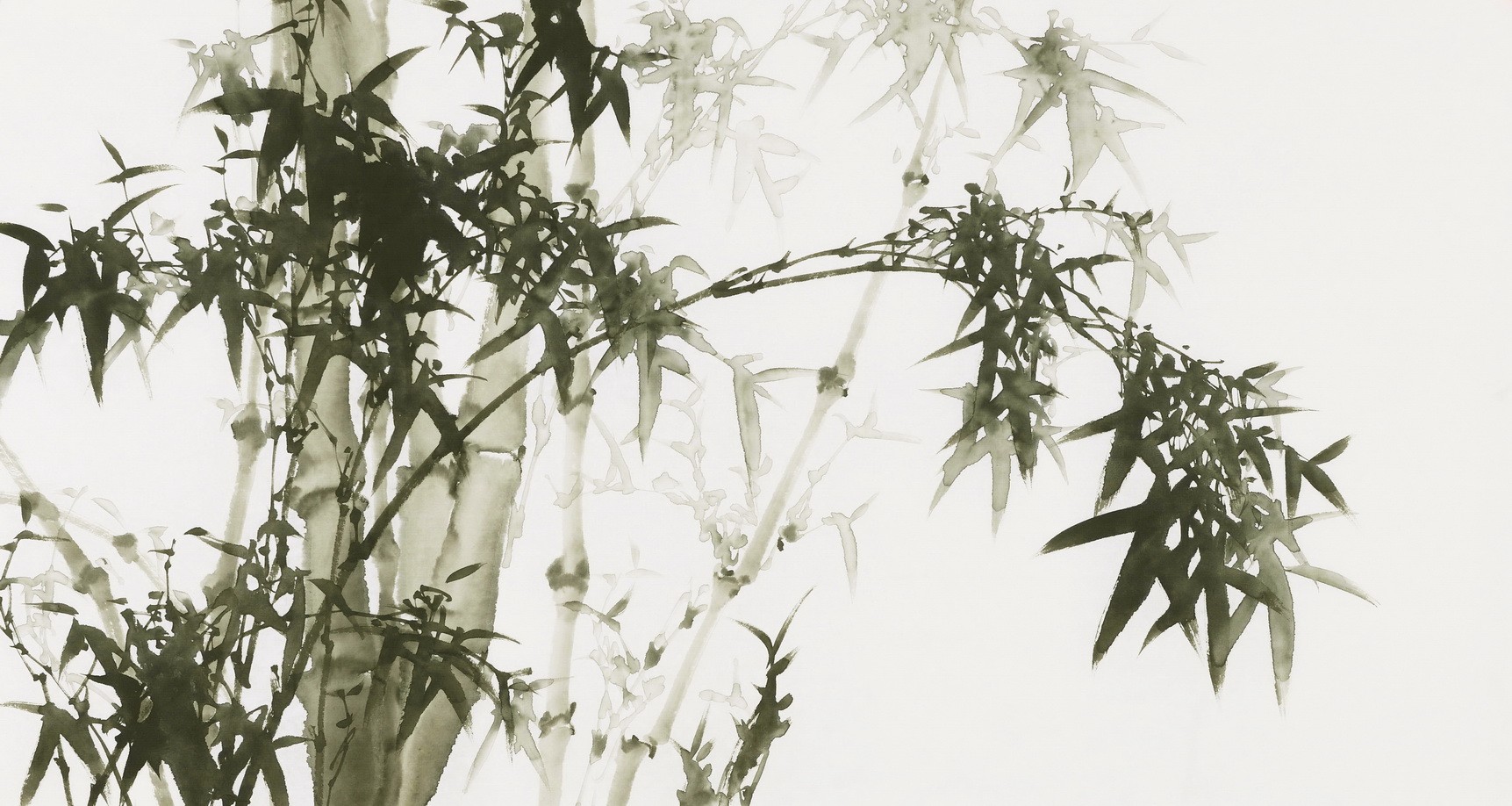 Ink Bamboo - CNAG003677