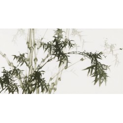 Ink Bamboo - CNAG003679