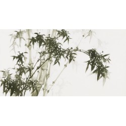 Ink Bamboo - CNAG003680