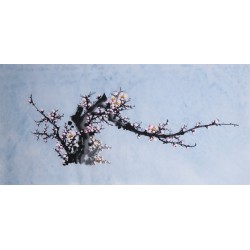 Plum - CNAG003687