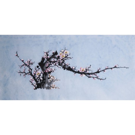 Plum - CNAG003687