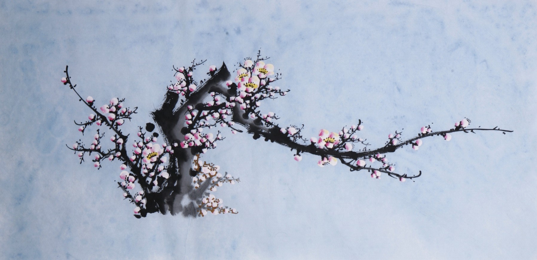 Plum - CNAG003687
