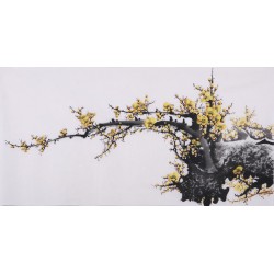 Plum - CNAG003689