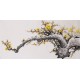 Plum - CNAG003690