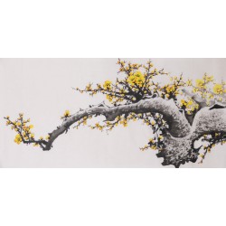 Plum - CNAG003690