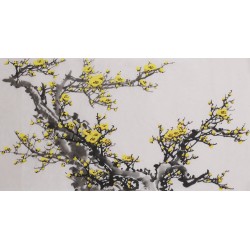Plum - CNAG003692