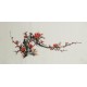 Plum - CNAG003693