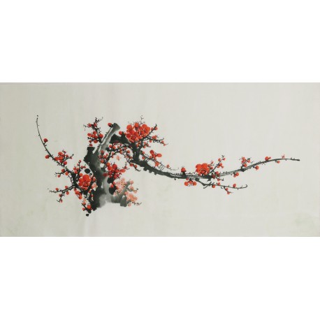 Plum - CNAG003693