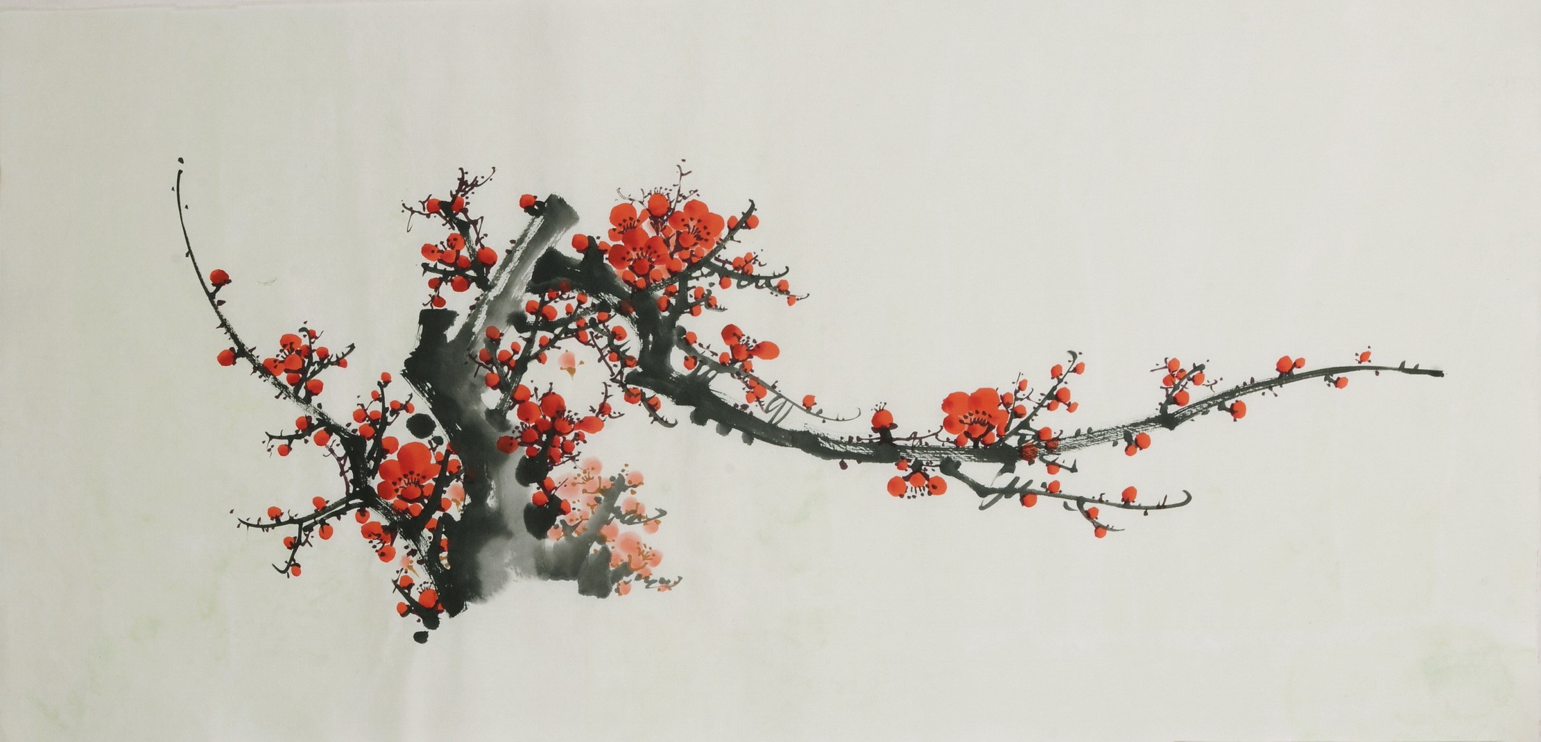 Plum - CNAG003693