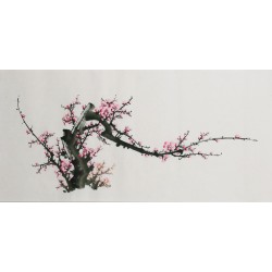Plum - CNAG003694