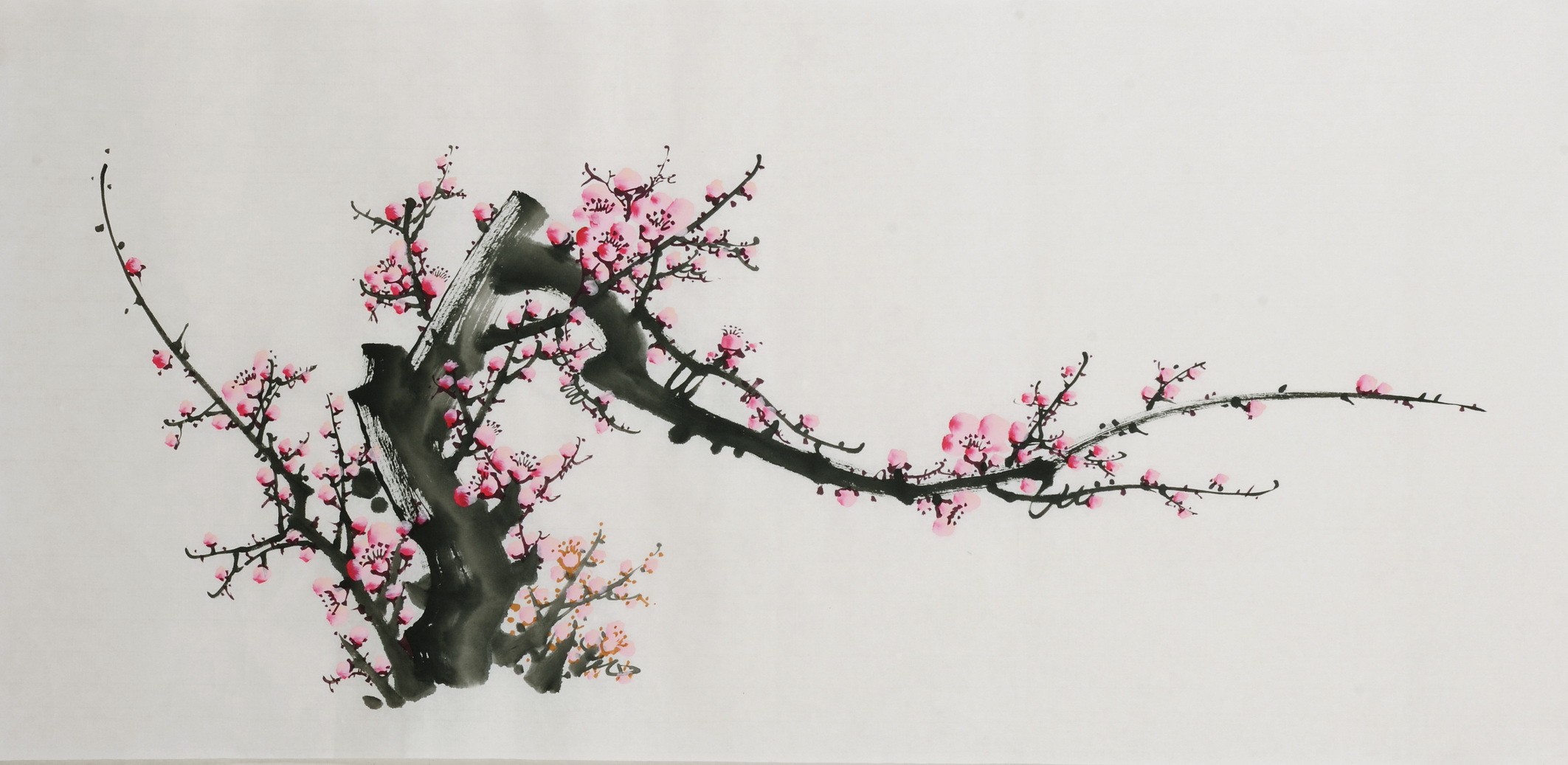 Plum - CNAG003694