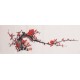 Plum - CNAG003695