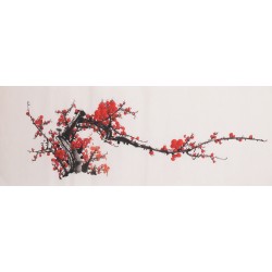 Plum - CNAG003695