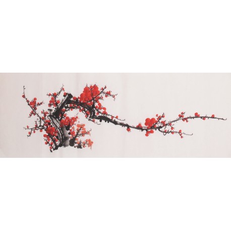 Plum - CNAG003695