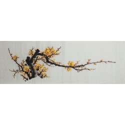 Plum - CNAG003696