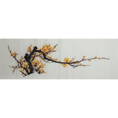 Plum - CNAG003696