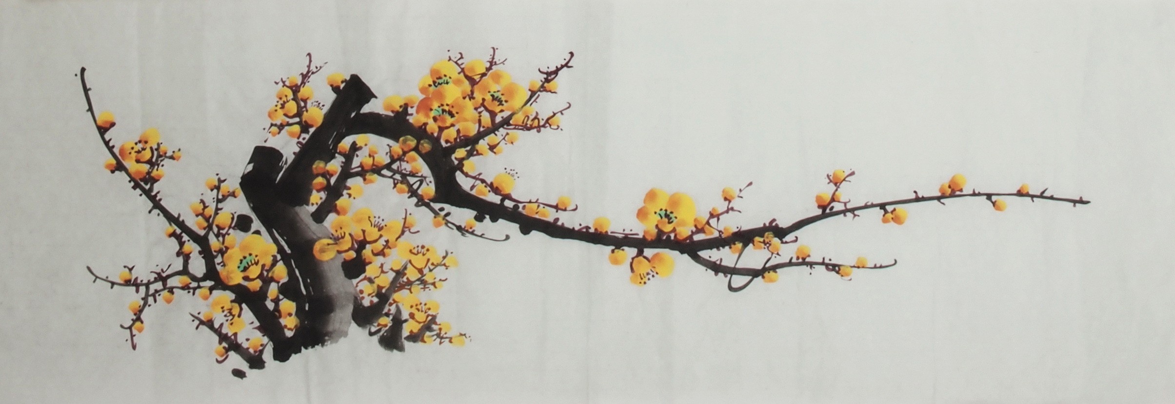 Plum - CNAG003696