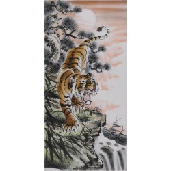 Tiger - CNAG000037