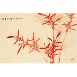 Bamboo - CNAG003701