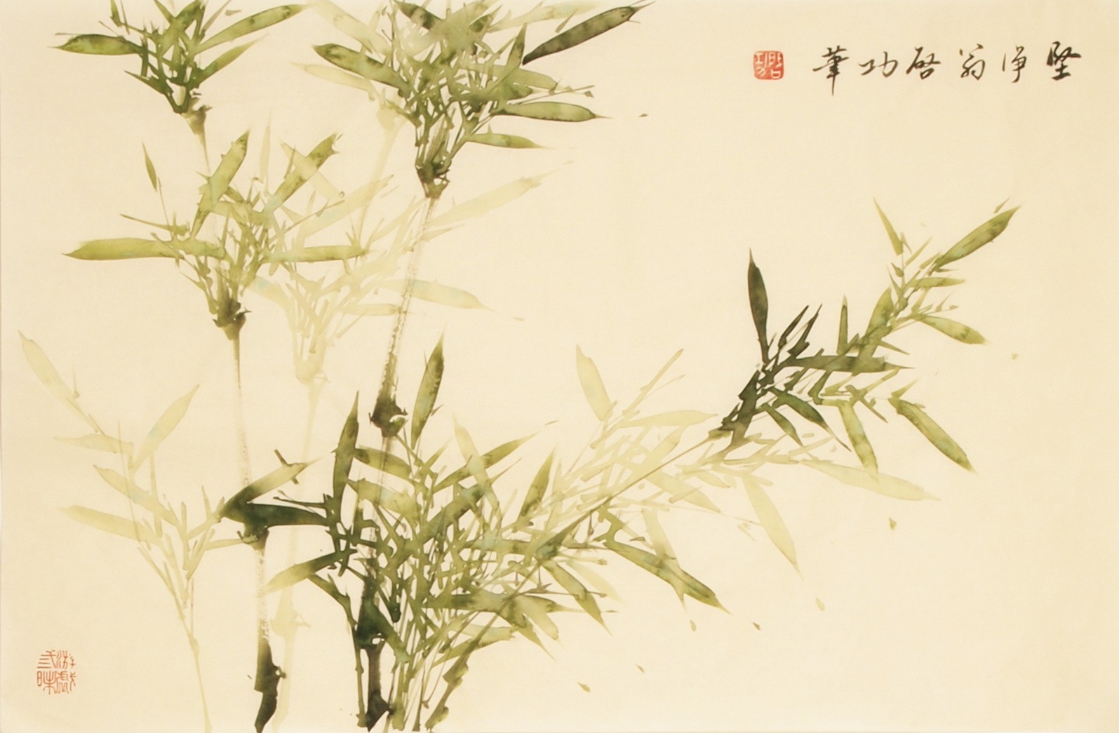 Green Bamboo - CNAG003702