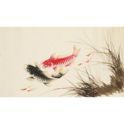 Fish - CNAG003705