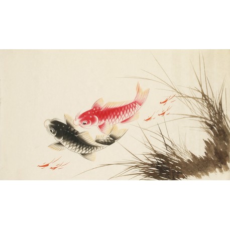 Fish - CNAG003705